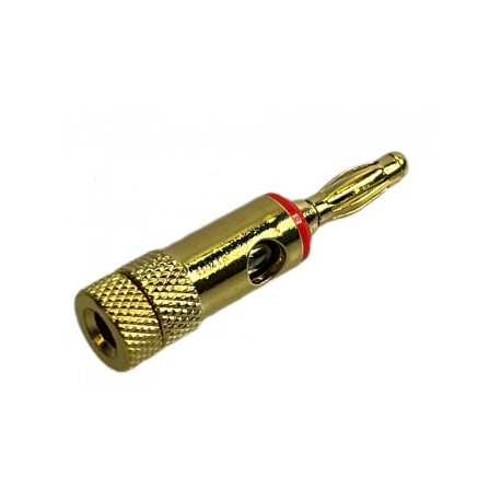 Conector Tipo Banana dorado...