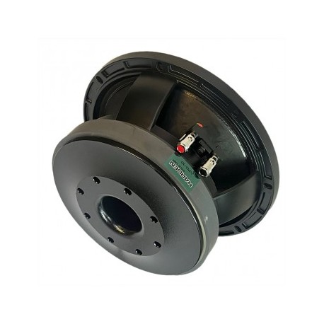 Subwoofer Profesional 10...